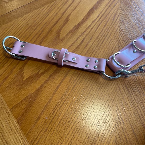 Bleak & Sleek REAL PINK LEATHER Leo Garter belt and garter Size Large - Picture 6 of 12
